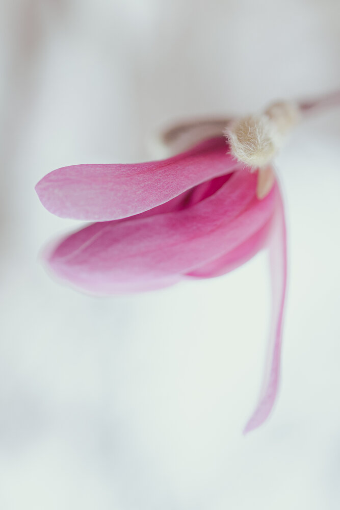 Photograph by Larysa Pinner