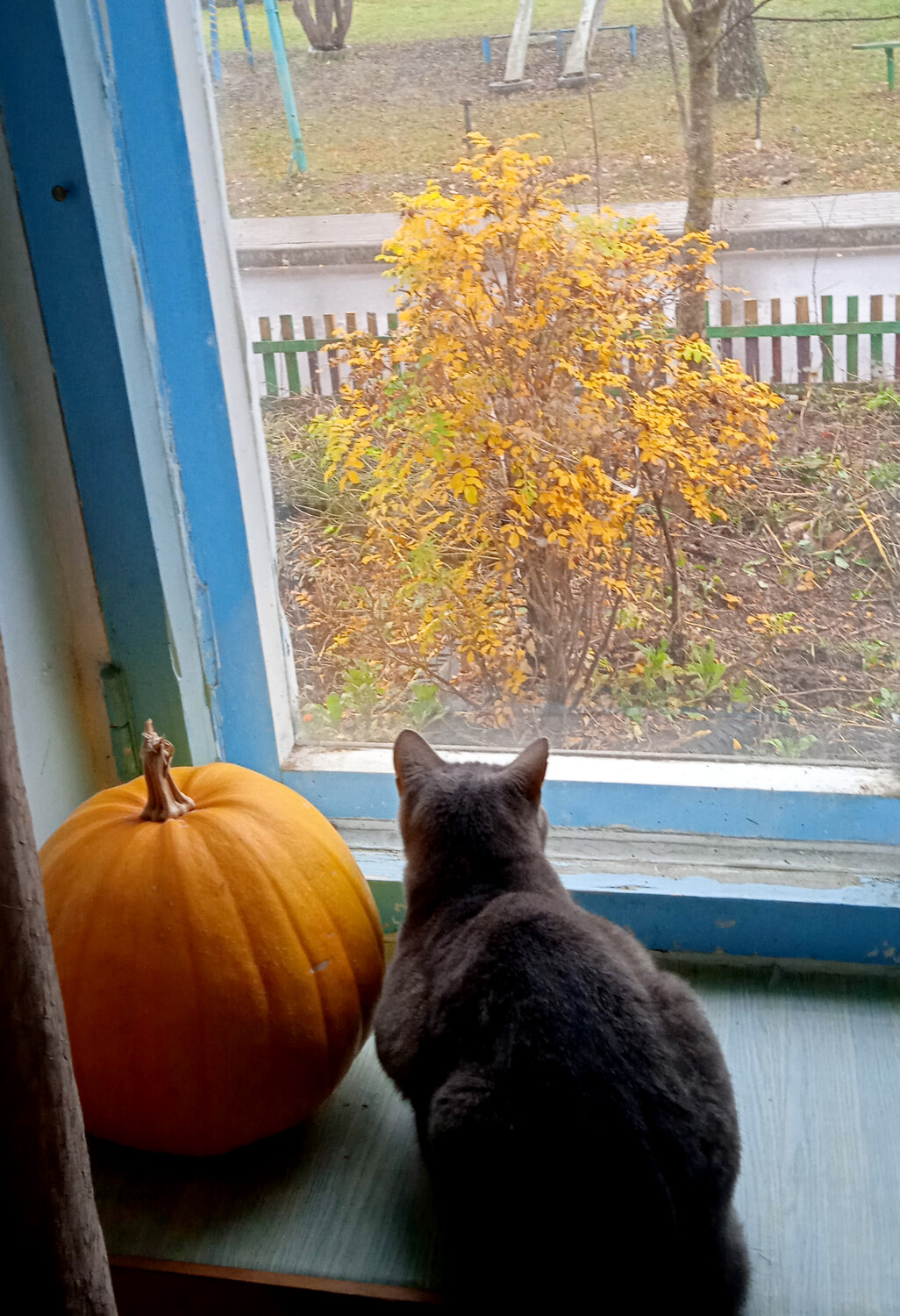 Photo #13833562