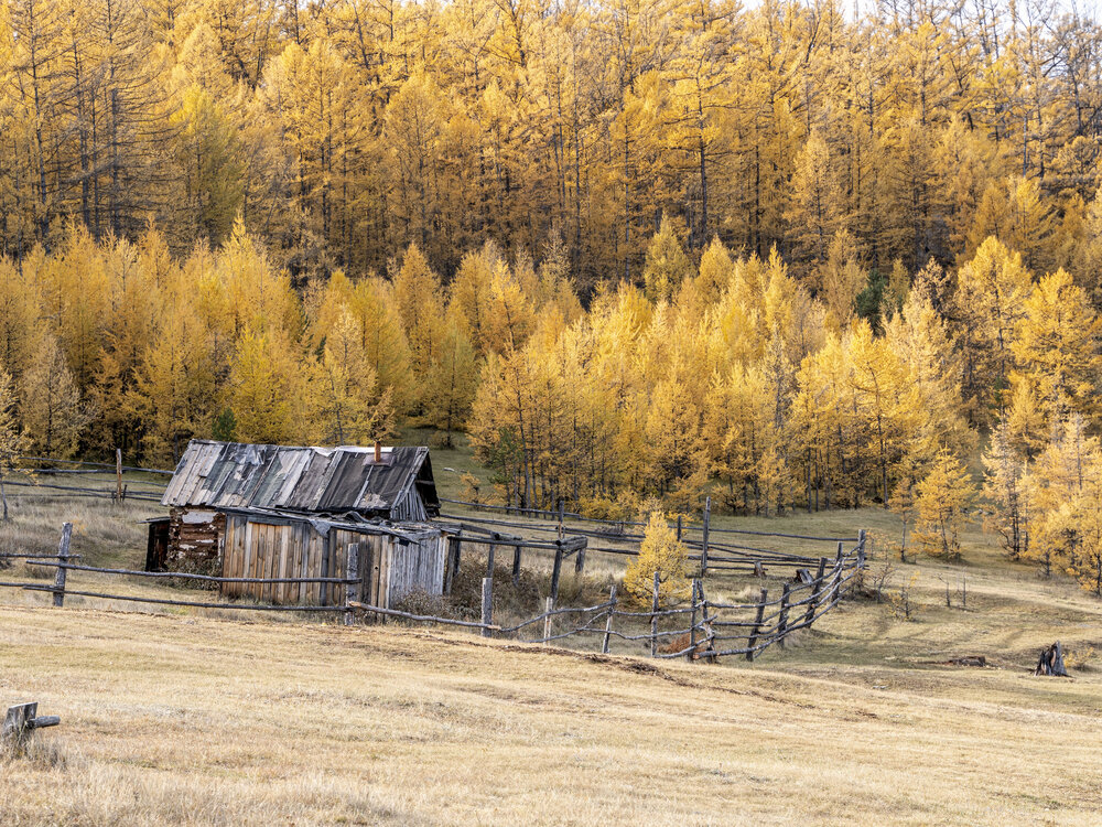Photograph by Екатерина