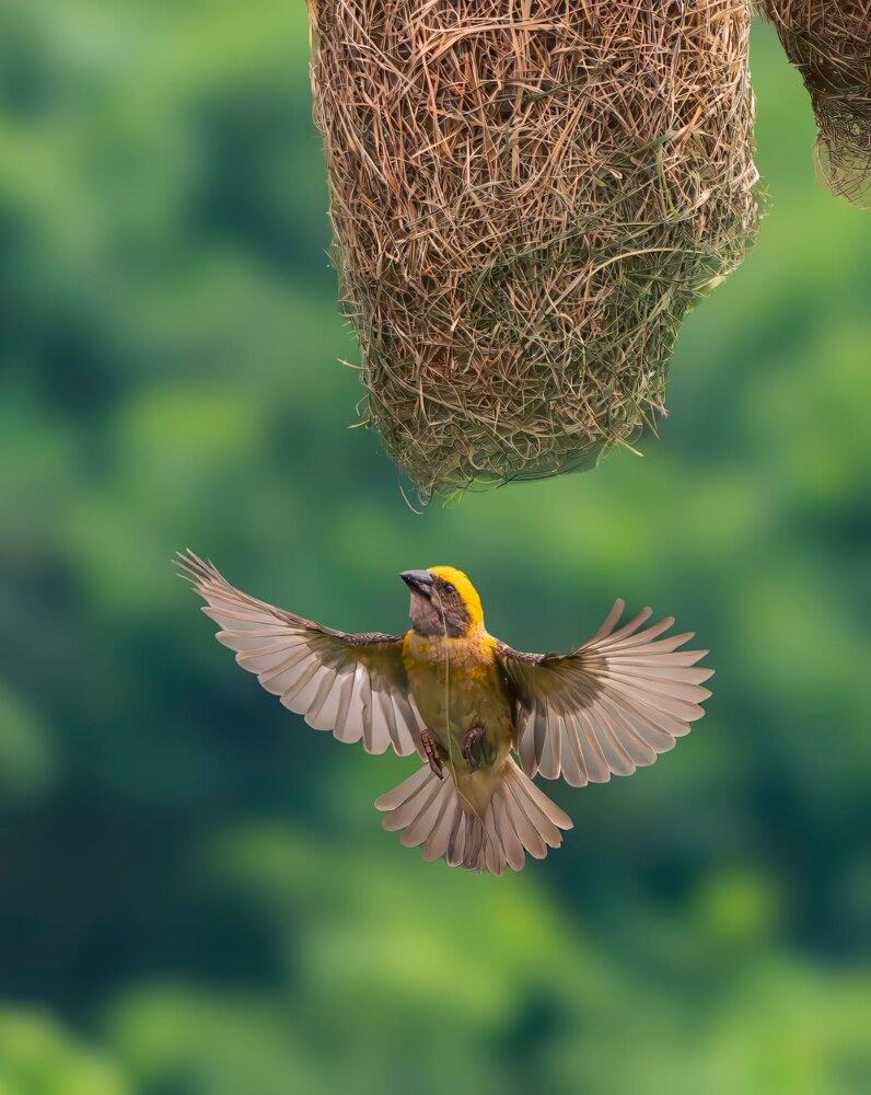 Photograph by akash banerjee