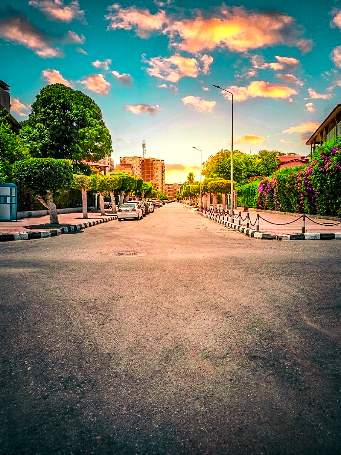 Golden Hour Avenue