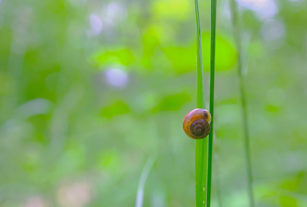 Photograph by Гагик Саркисян