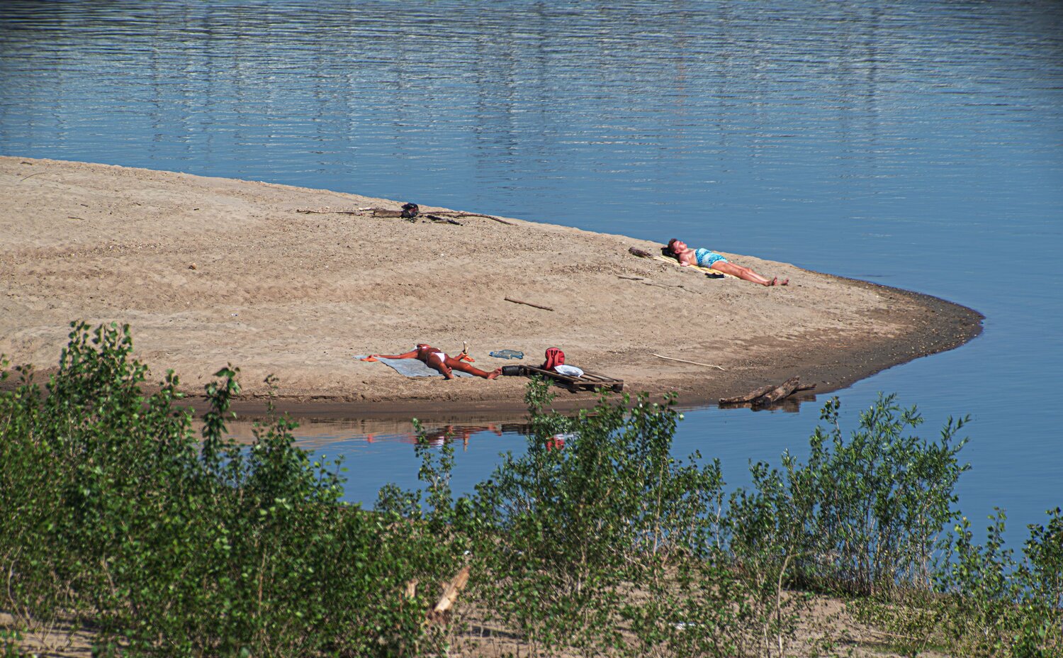 Photo #13833677
