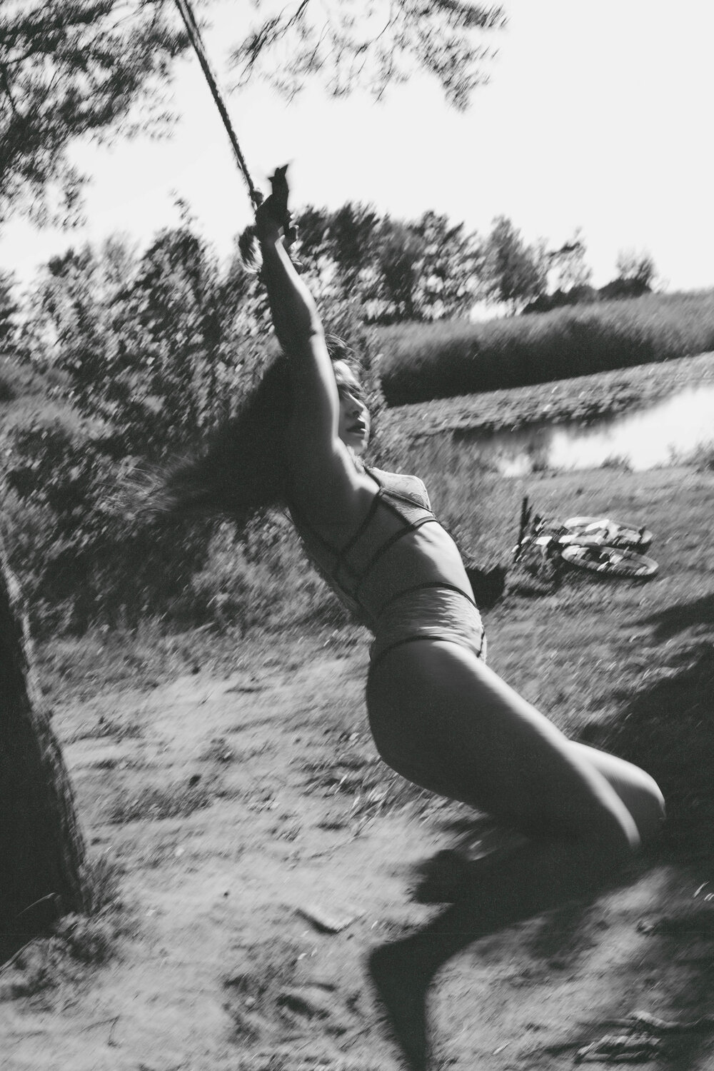 Photo #13833706