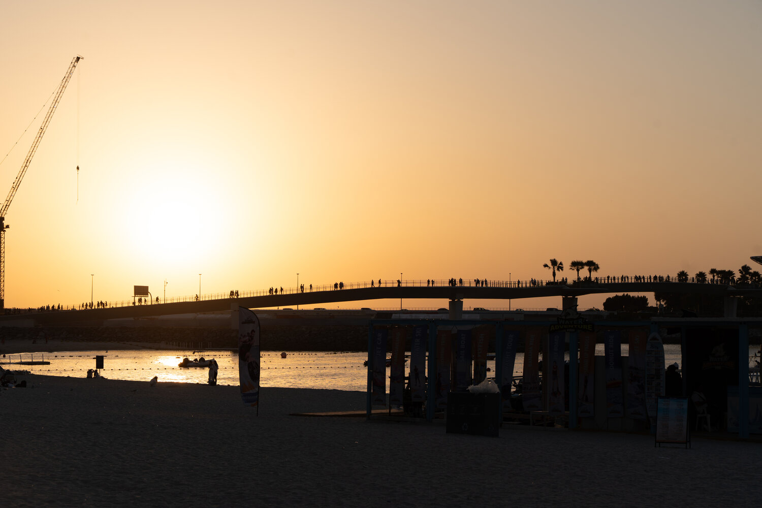 Photo #13833739