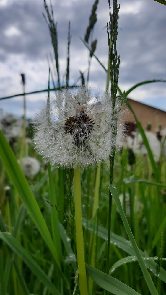 Photograph by Ирина Лаптева