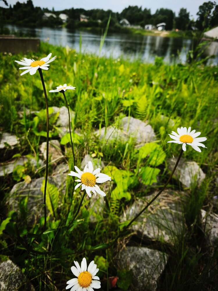 Photograph by Ирина Лаптева