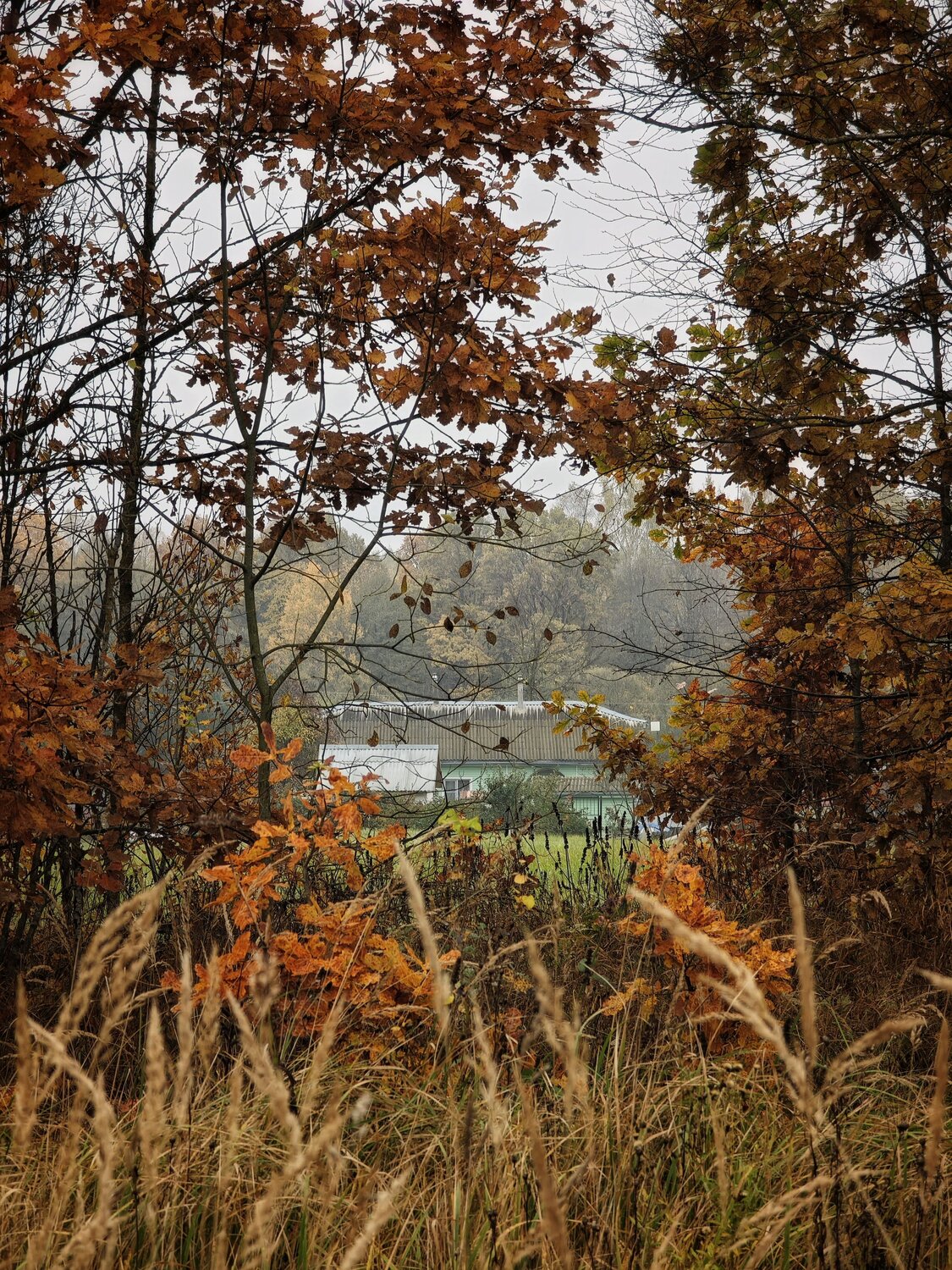 Photo #13833866