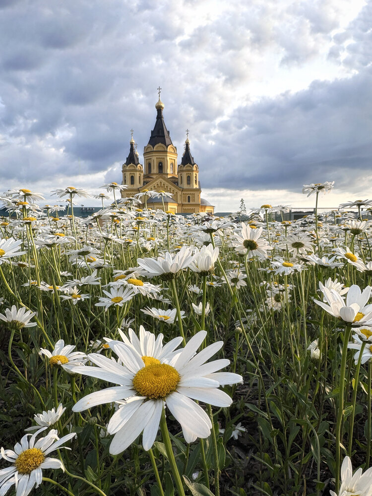 Photograph by Ольга Потачева