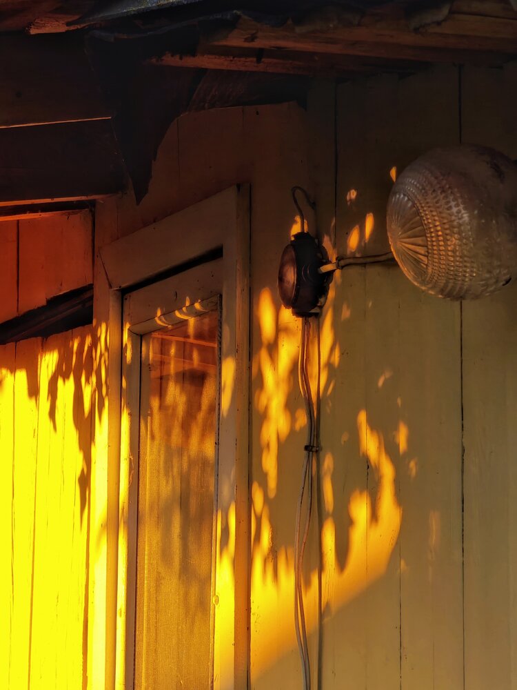 Photograph by Оксана Короткая