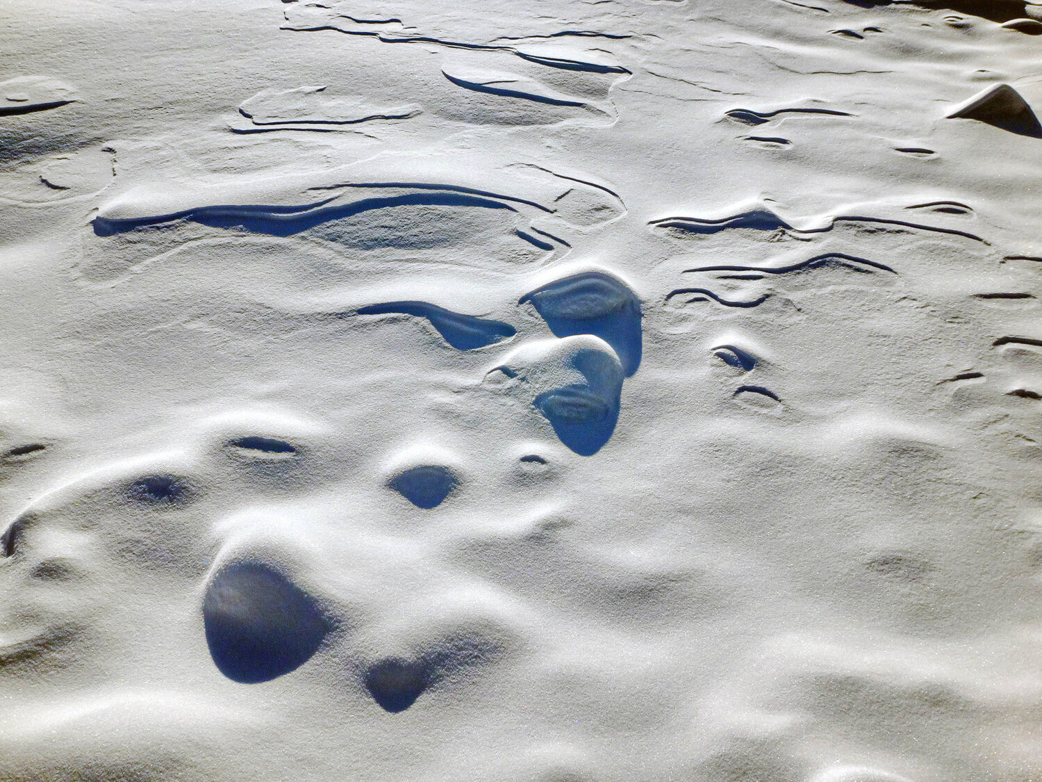 Photo #13834001