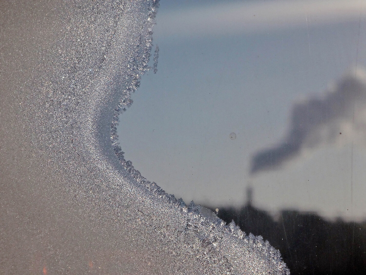 Photo #13834002