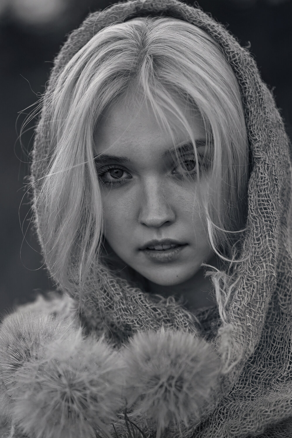 Photo #13834010