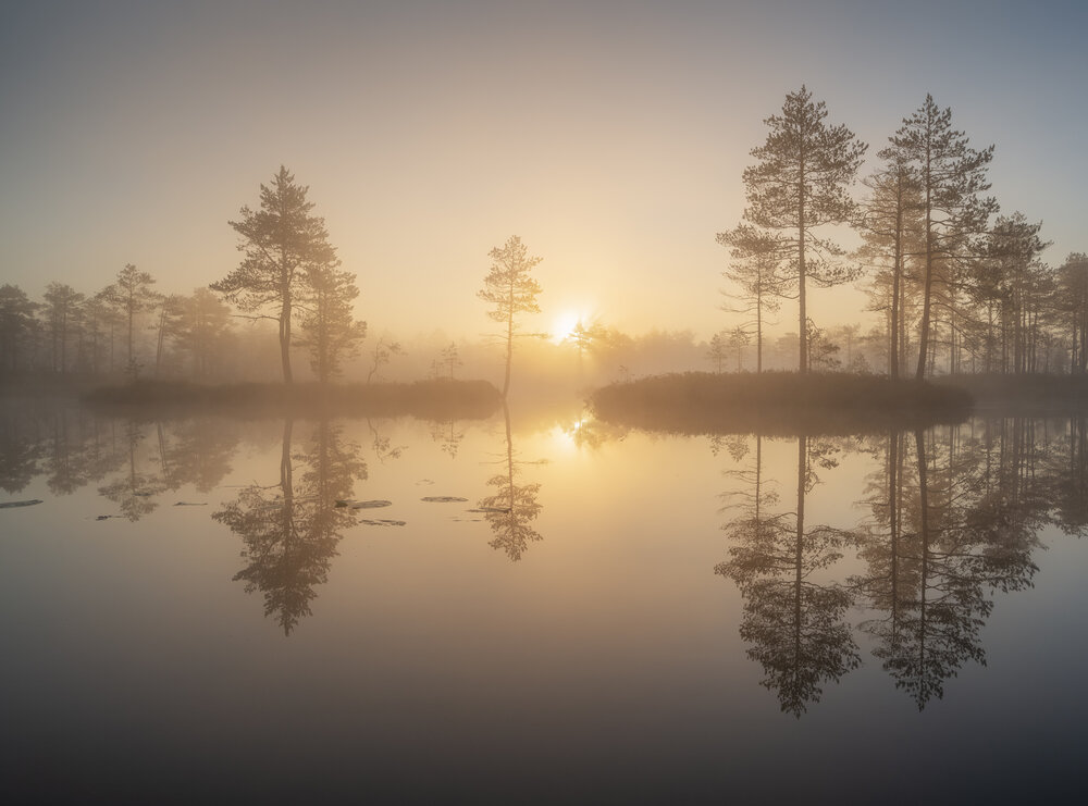 Photograph by Ivan Glinskiy