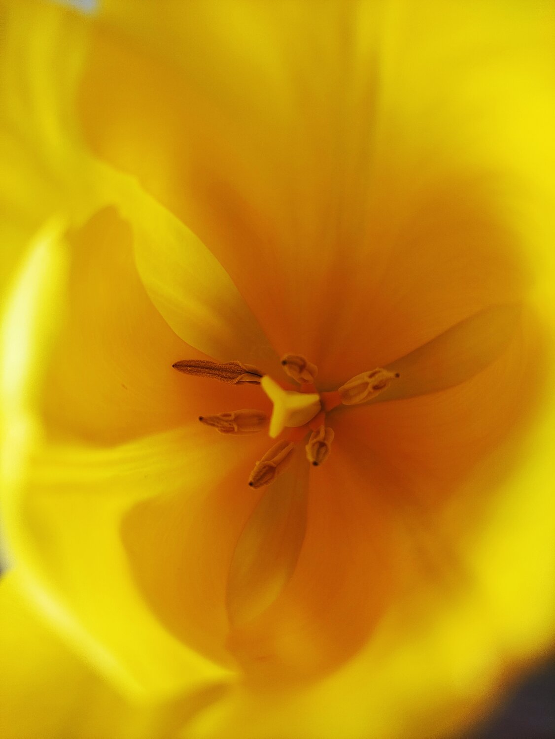 Photo #13834103