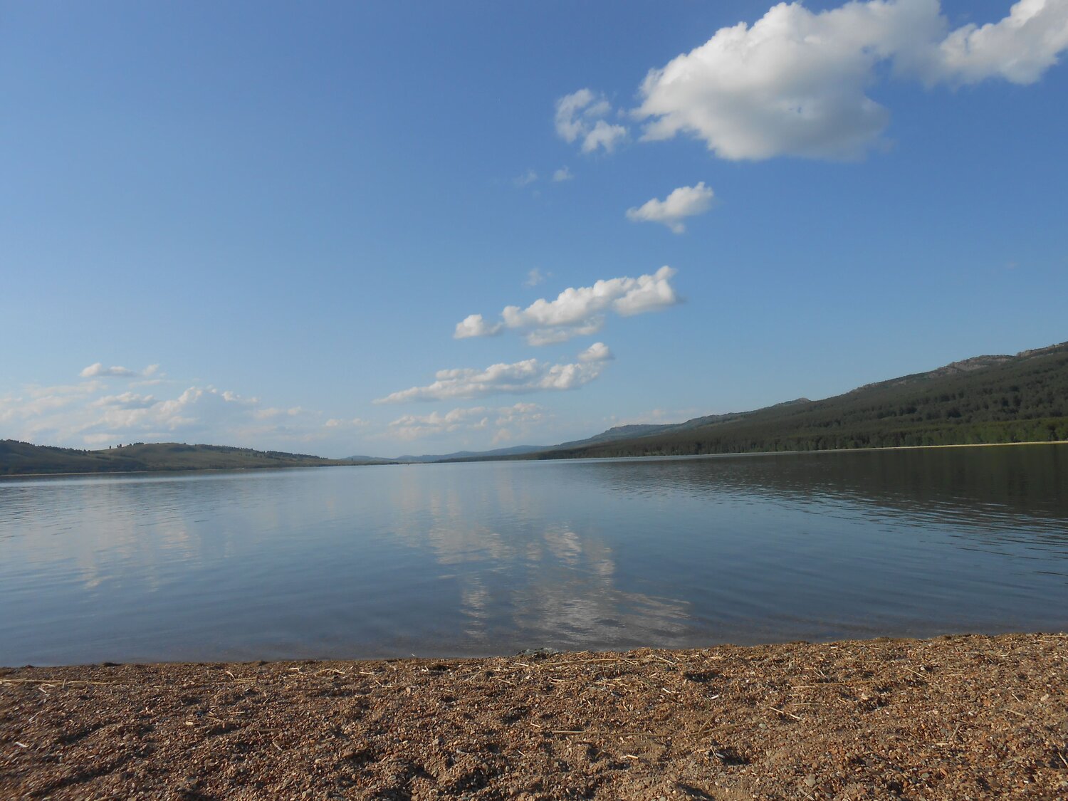 Photo #13834225