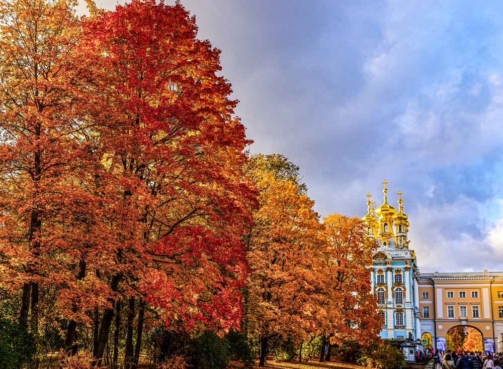 Photograph by Михаил Бояркин
