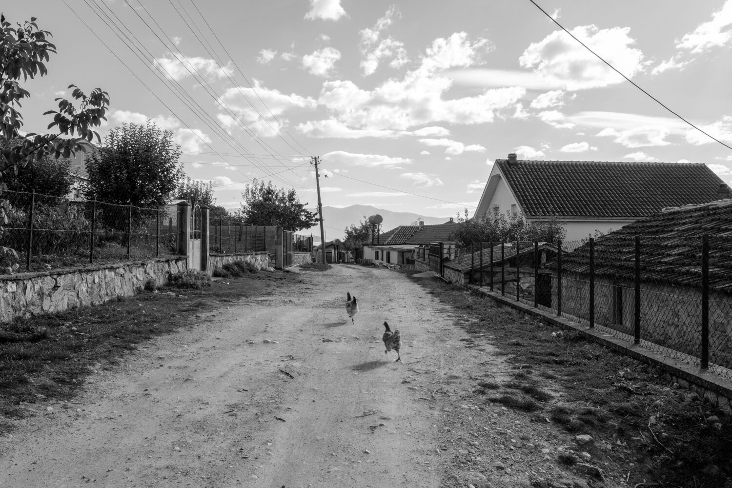Photo #13834286