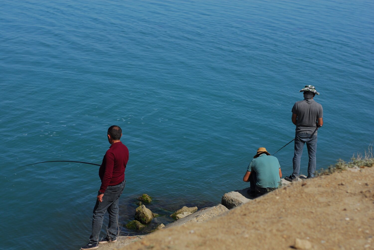 Photo #13834307