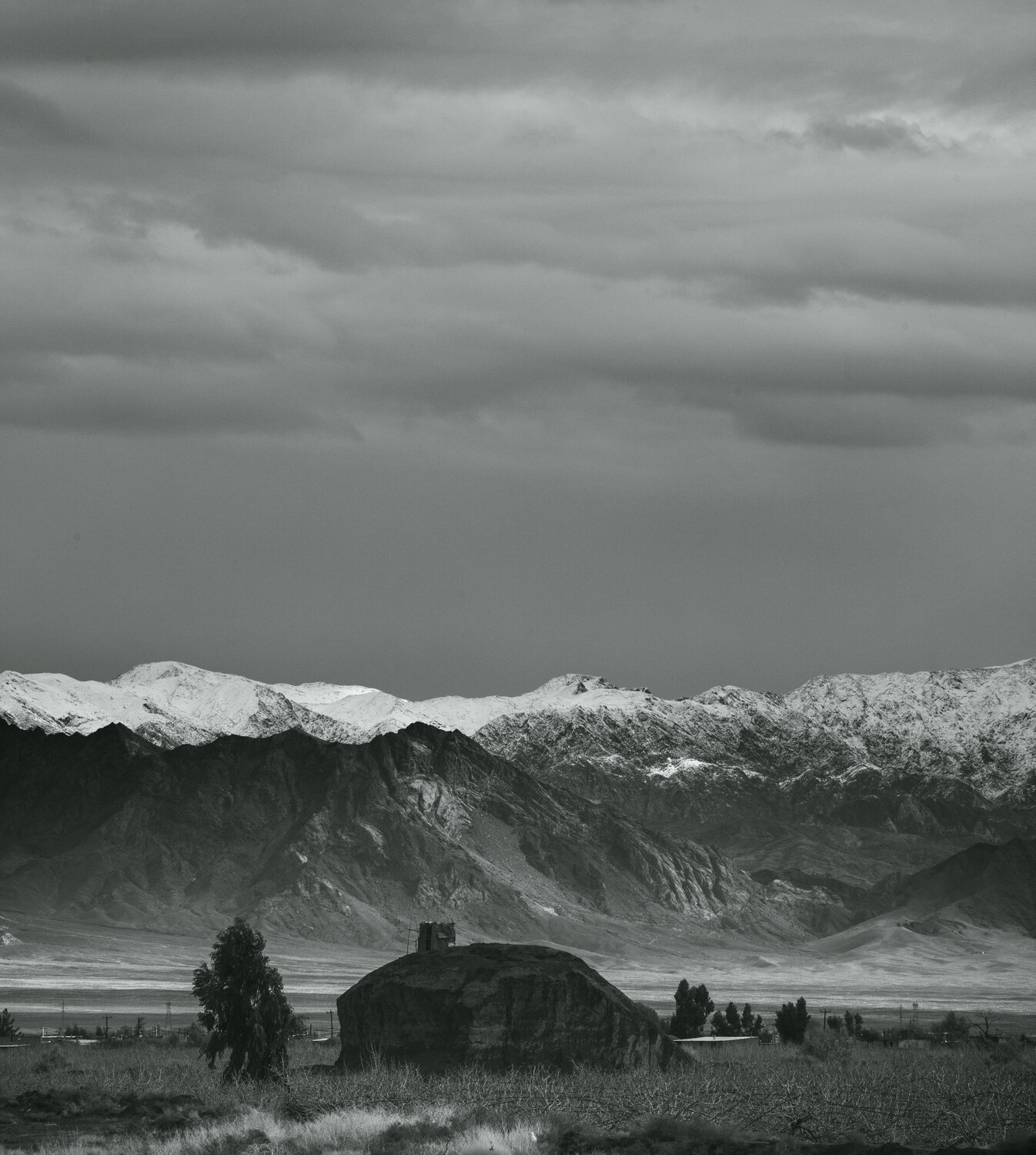 Photo #13834368