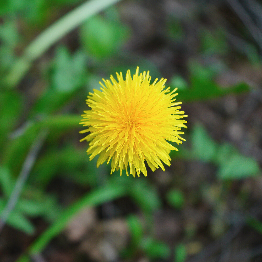 Photograph by Виктория Лаврова