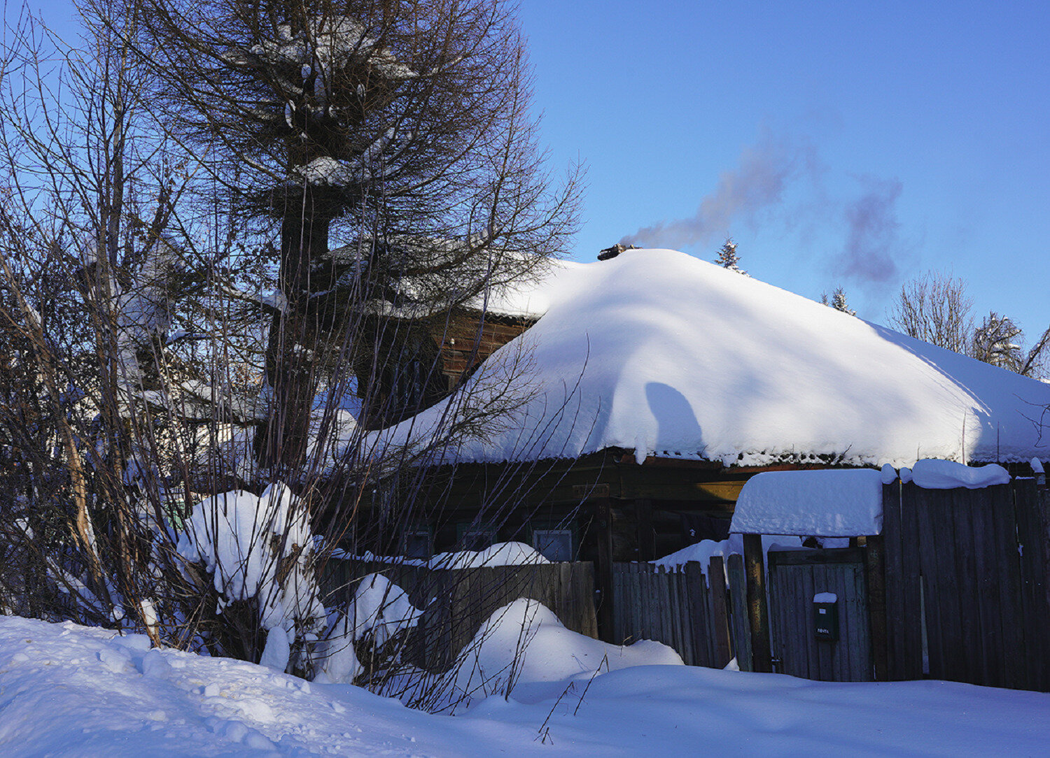 Photo #13834396