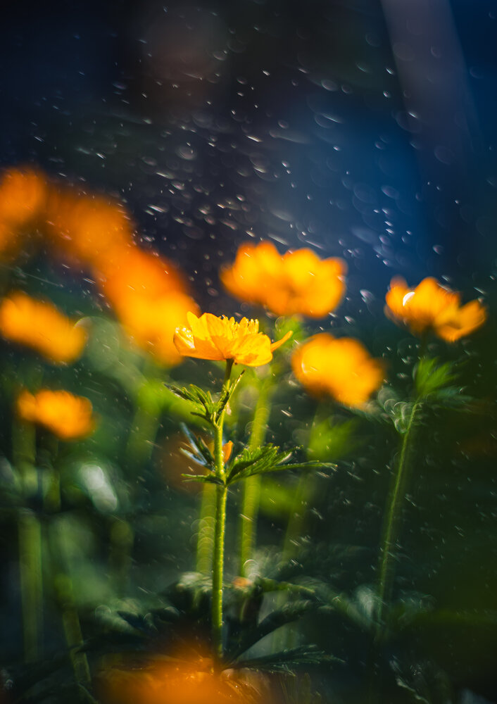 Photograph by Николай Захаров