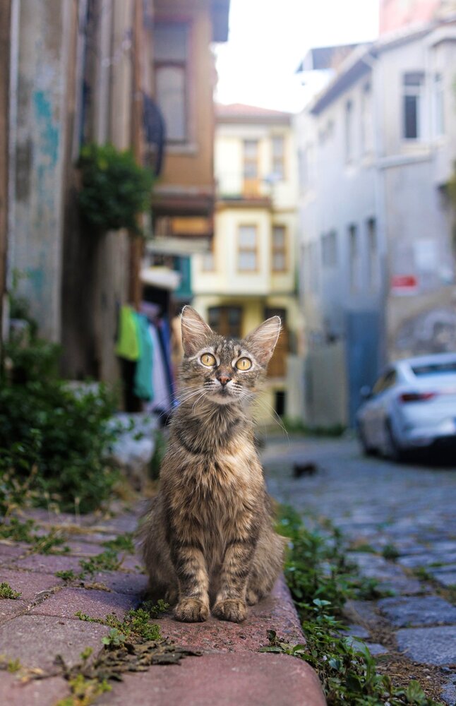 Photograph by Анна Васильева