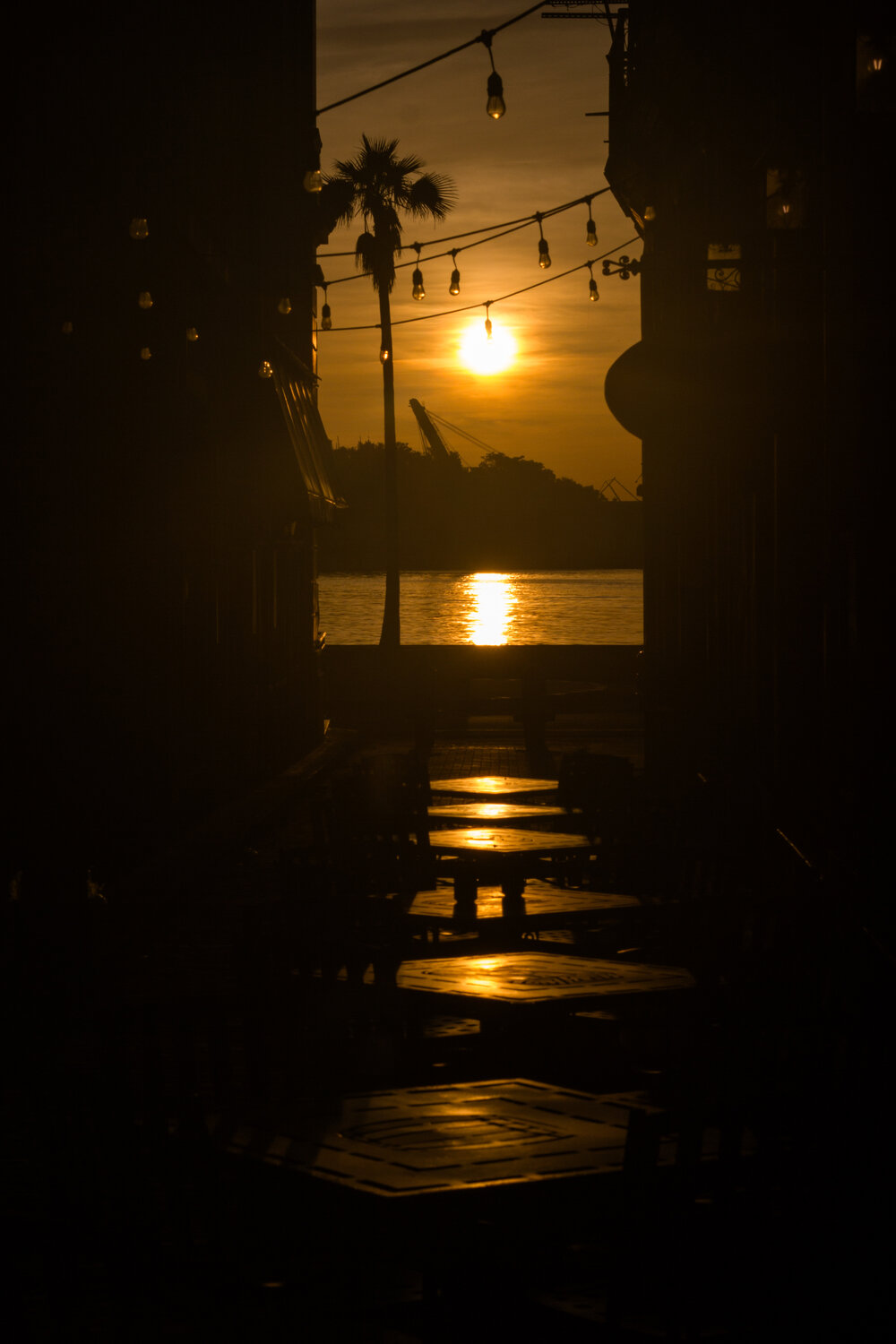 Photo #13834475