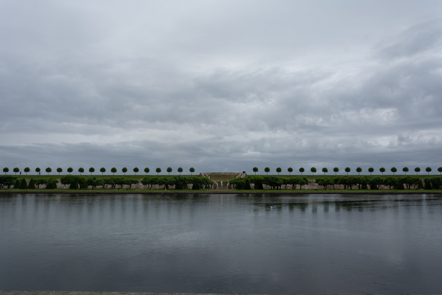 Photo #13834484