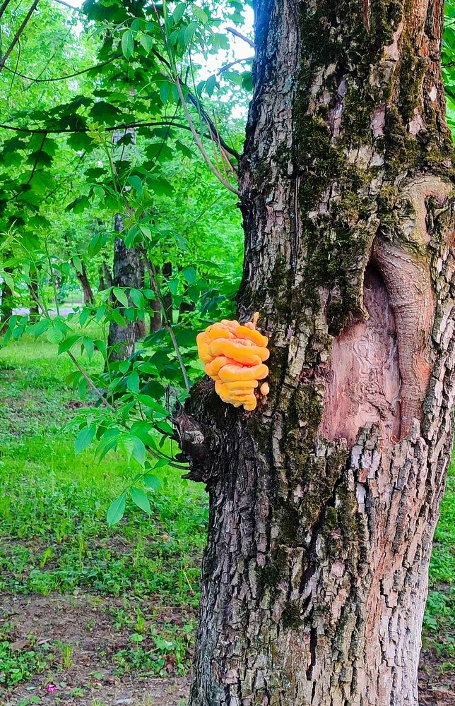 Фотография автора Василиса