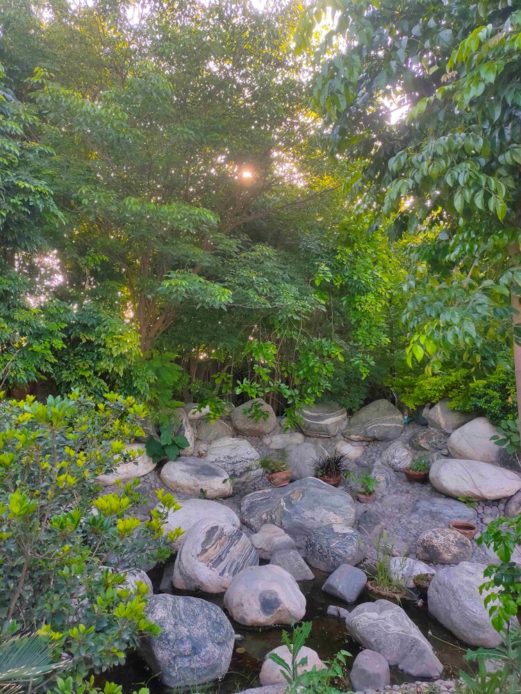 Green Garden With Stones
