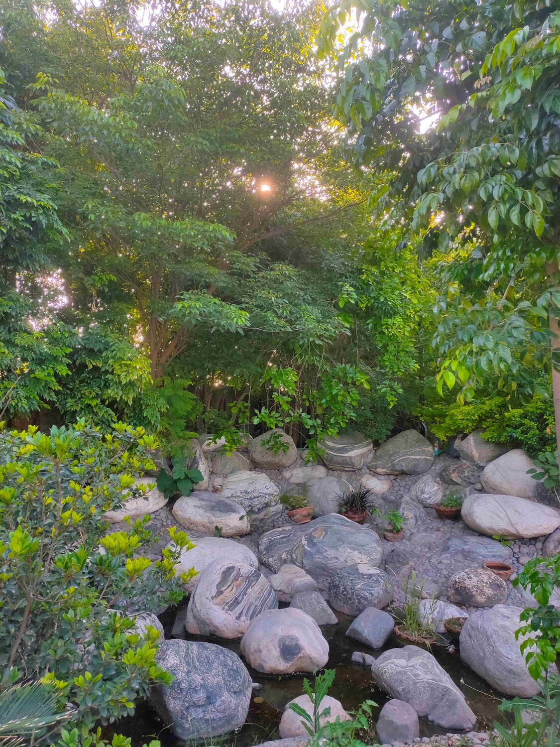 Green Garden With Stones