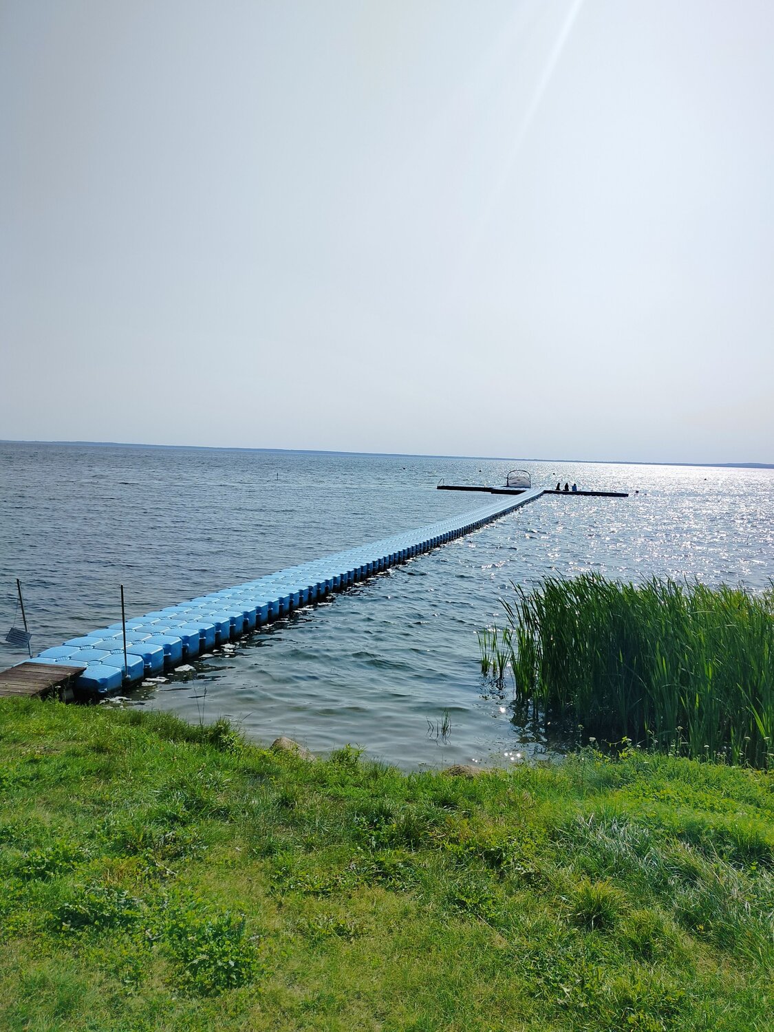 Photo #13834517