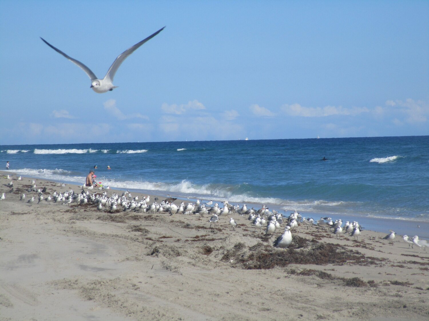 Photo #13834568