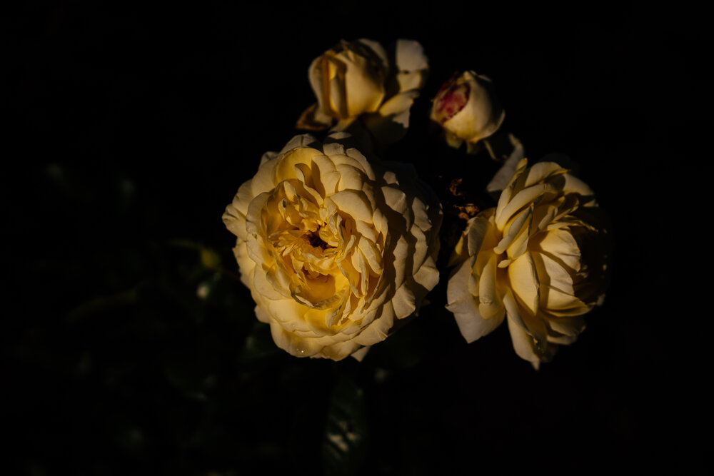 Photograph by Натали Захарова (Тай)