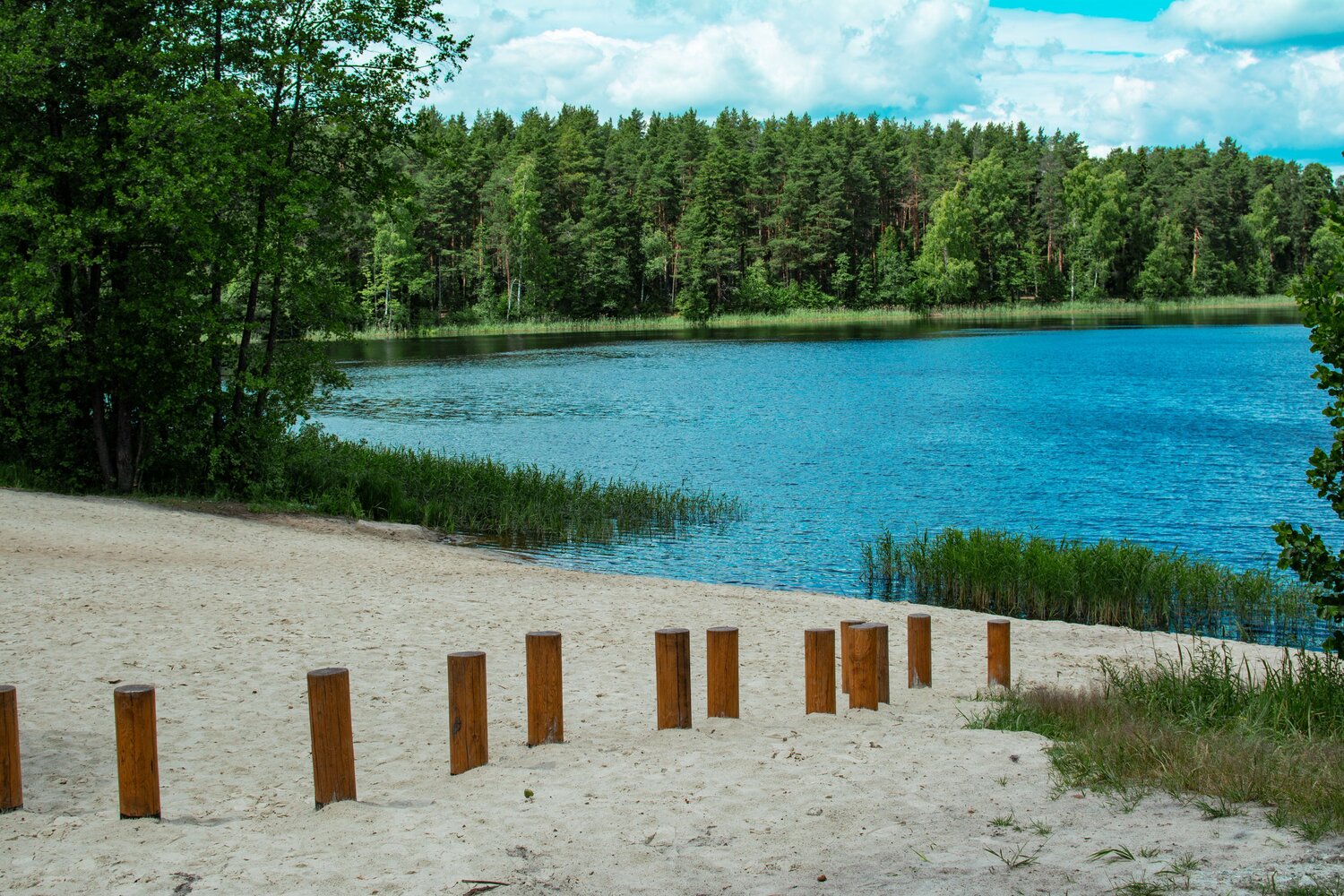 Photo #13834617