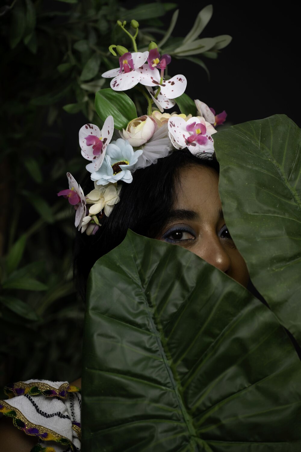 “Bloom of the Nile”