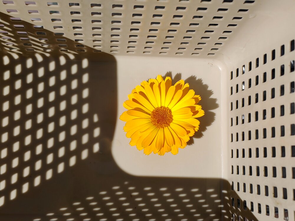 Photograph by Ульяна Кузьмина