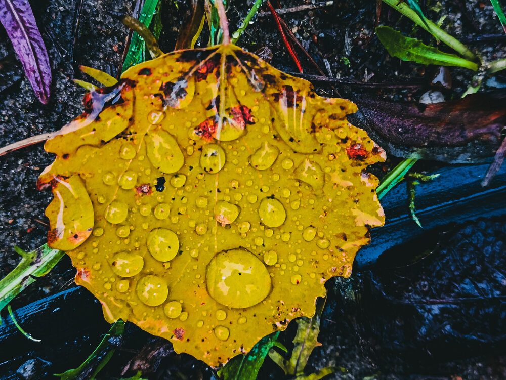 Photograph by Евгения Суслова