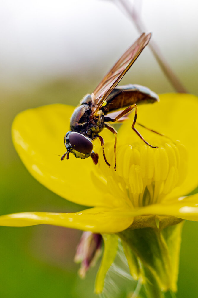 Photograph by Vasileios Stergiopoulos