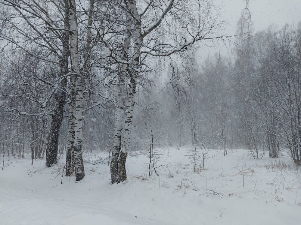 Photograph by Павел Алексеев
