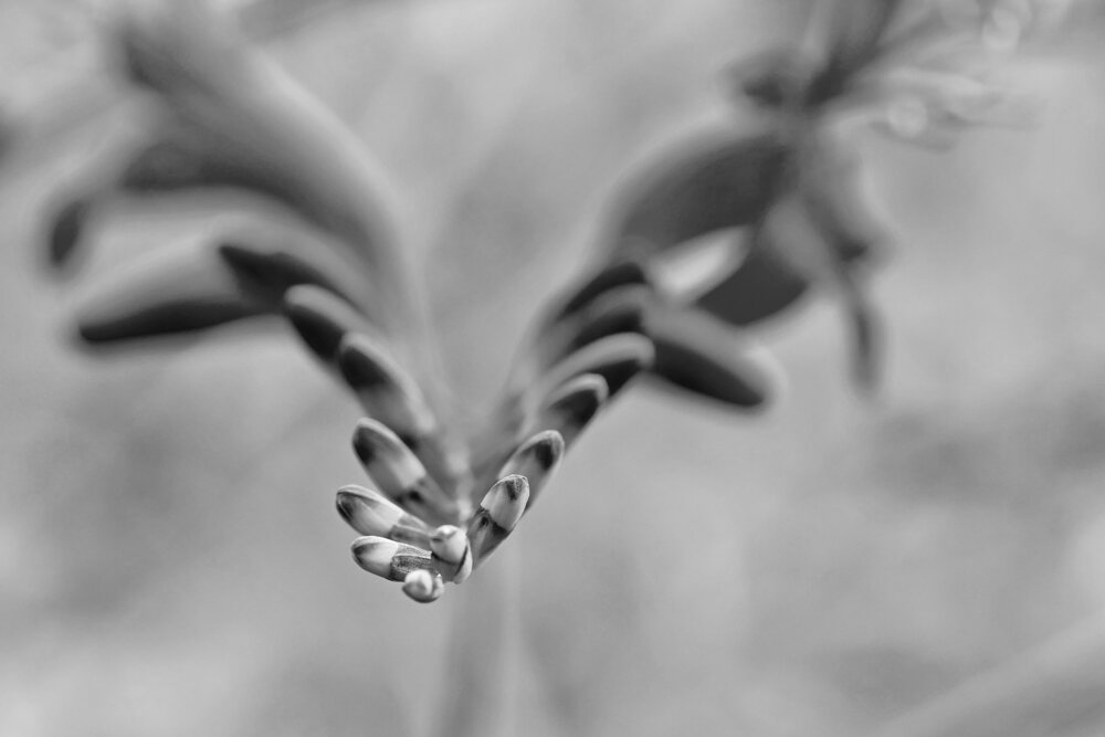 Photograph by Владимир Лобанов