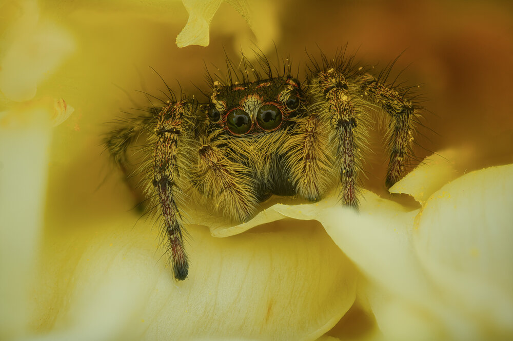 Photograph by Юрий Юрьевич Подгрушный