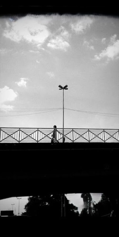 Фотография автора Mônica Rodrigues