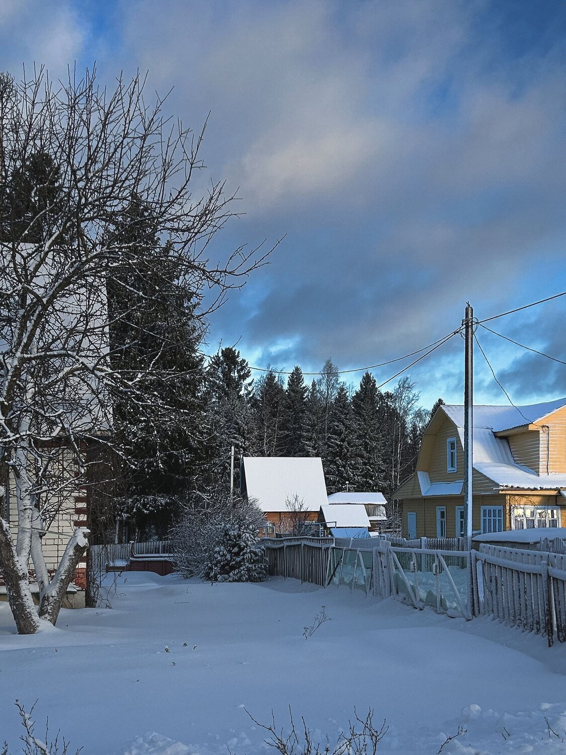 Photo #13834949