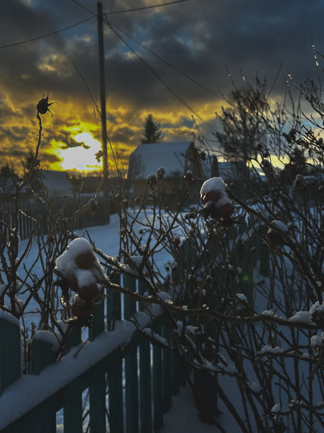Photo #13834950
