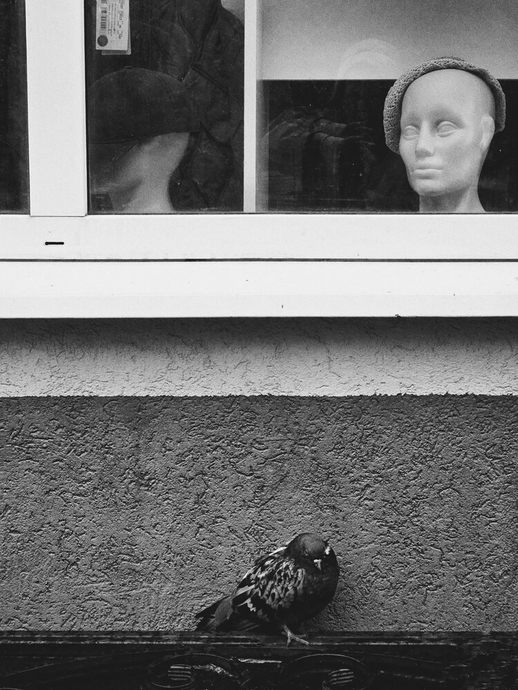 Photograph by Наталья Трофимова