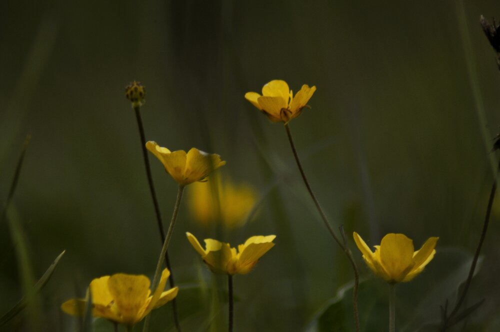 Photograph by Svetlana Timoshenko