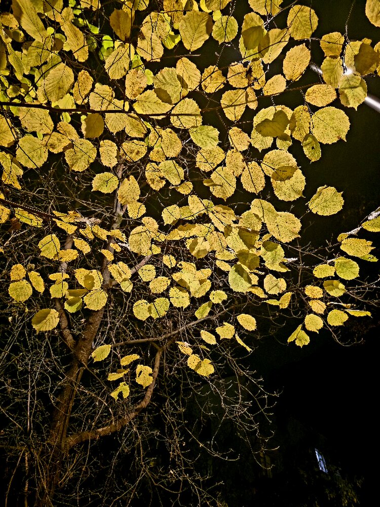 Photograph by Ирина
